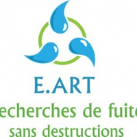 E.art