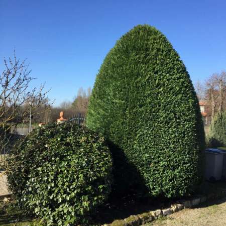 Philippe Espace Vert