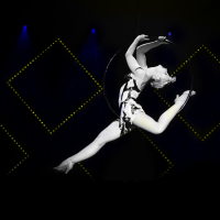 S2A Production-Producteur De Spectacle