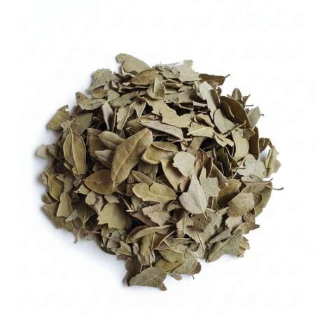 Laphytotherapie.com