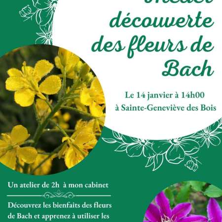 Chemin Vital Naturopathie Céline Ramos