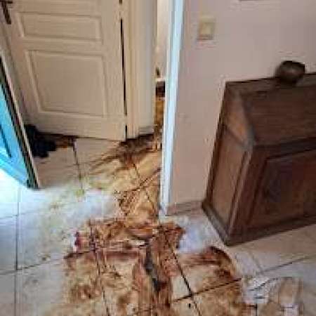 Massiv'clean Bandol Nettoyage Et Désinfection Après Décès, Scène De Crime Et Suicide