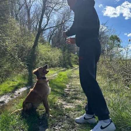Mikanine, Éducateur Comportementaliste Canin À Toulon Et Le Var, 83